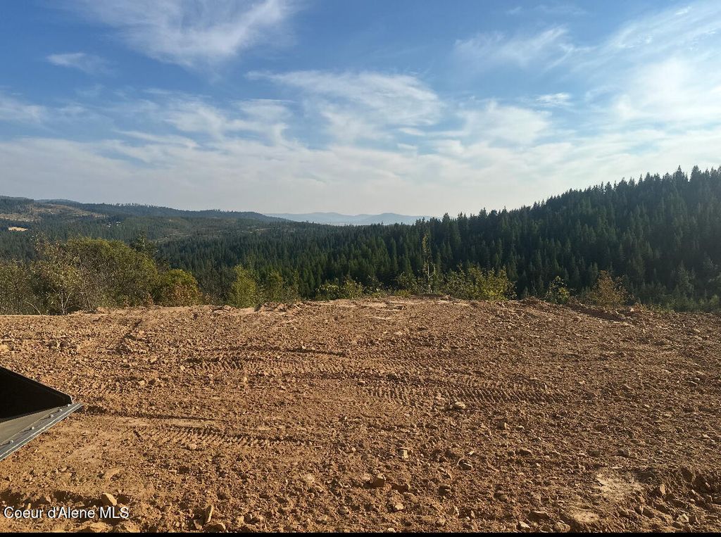 NKA TreeTop Lane Parcel 2, Plummer, ID 83851
