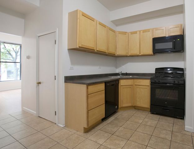 1312 S WABASH Avenue 1, Chicago, IL 60605