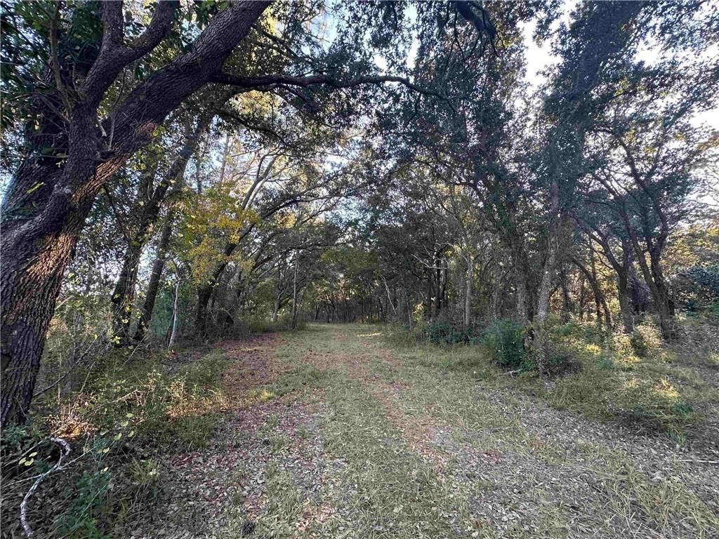 0 Benton Road, Foley, AL 36535 — photo 3