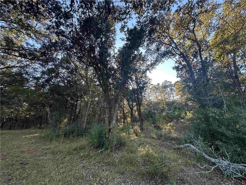 0 Benton Road, Foley, AL 36535 — photo 4