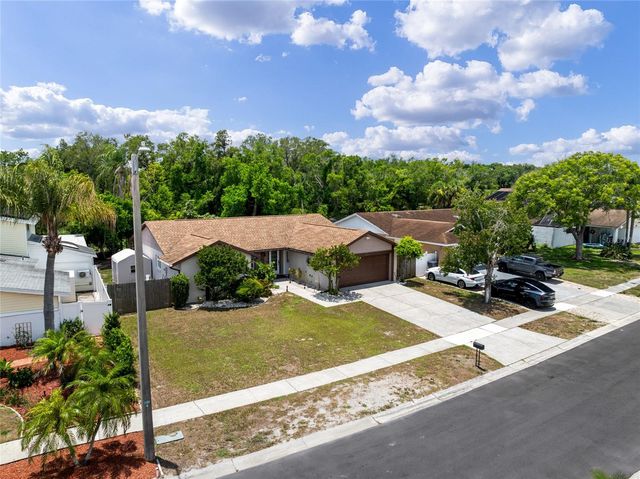 6916 WILLIAMS DRIVE, Tampa, FL 33634