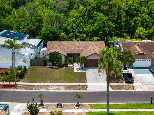 6916 WILLIAMS DRIVE, Tampa, FL 33634