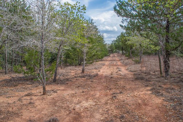 TBD Edgewood TRL, Paige, TX 78659