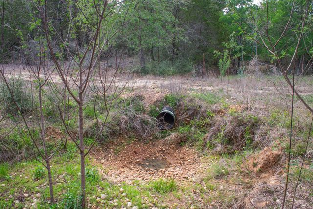 TBD Edgewood TRL, Paige, TX 78659