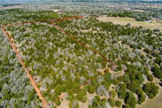 TBD Edgewood TRL, Paige, TX 78659