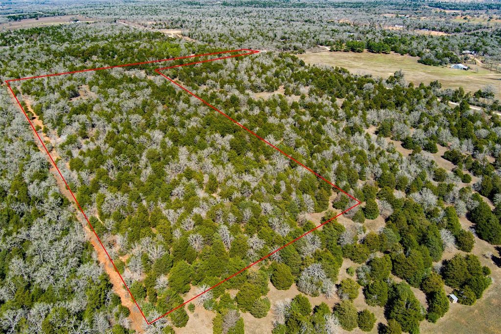 TBD Edgewood TRL, Paige, TX 78659