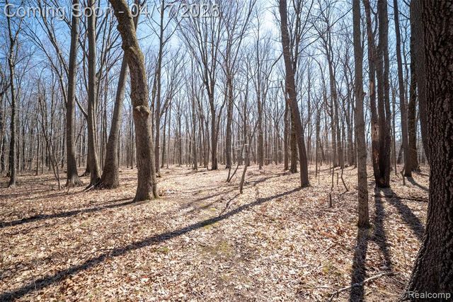 825 W Rose Center Road, Holly, MI 48442