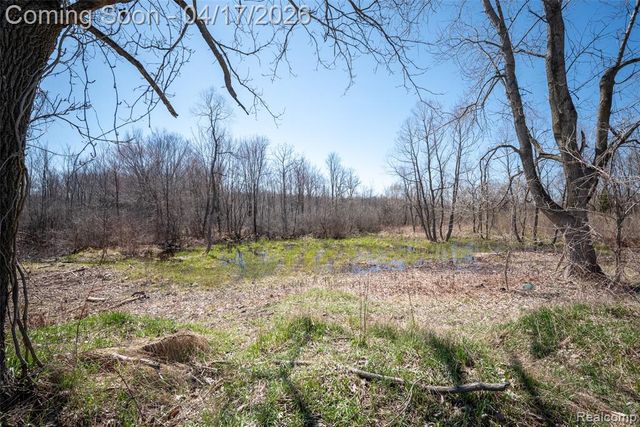 825 W Rose Center Road, Holly, MI 48442