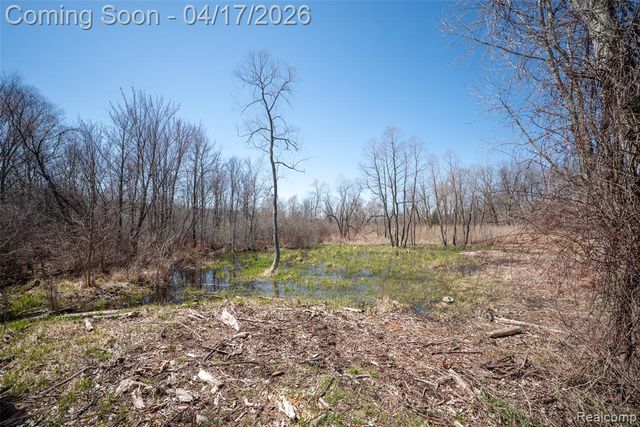 825 W Rose Center Road, Holly, MI 48442
