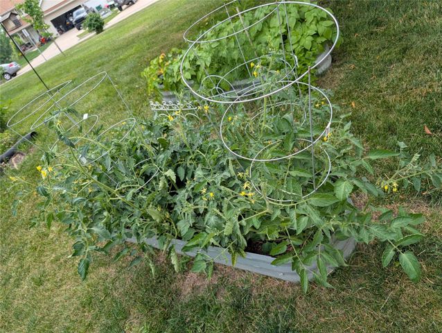 1106 Rolling Hills Court, Norwalk, IA 50211