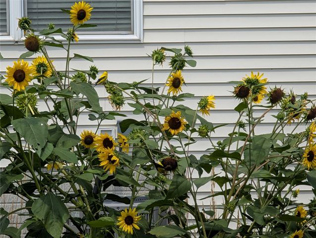 1106 Rolling Hills Court, Norwalk, IA 50211