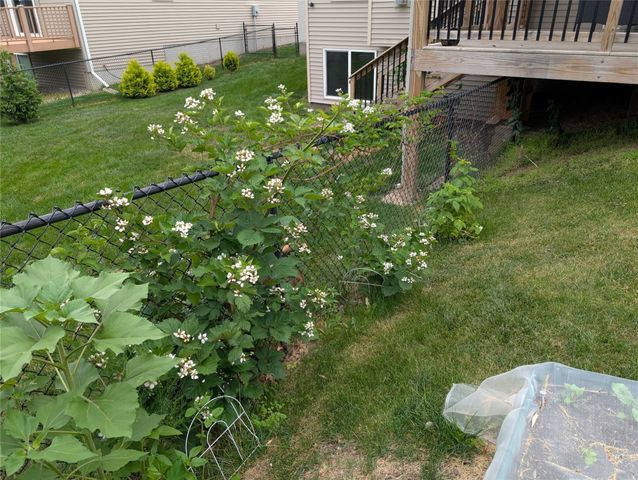 1106 Rolling Hills Court, Norwalk, IA 50211