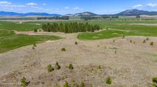 Lot 4 Lone Moose Dr, Plummer, ID 83851