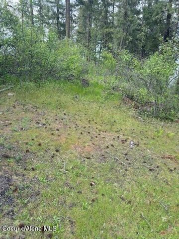 3671 E Bridgeview DR, Harrison, ID 83833