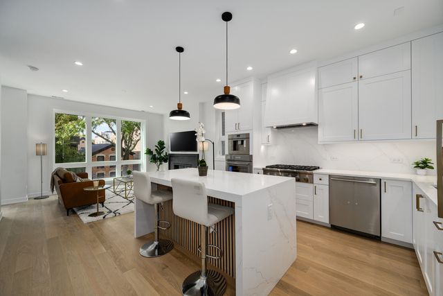 867 N Marshfield Avenue 2, Chicago, IL 60622