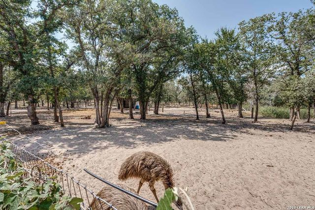 200 Oak Hollow Drive, La Vernia, TX 78121