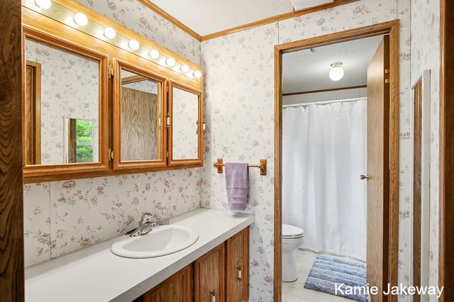 1720 W Fenwick Road, Fenwick, MI 48834