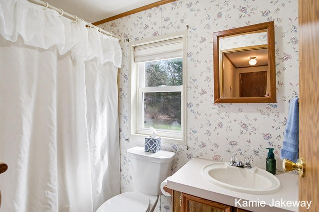 1720 W Fenwick Road, Fenwick, MI 48834