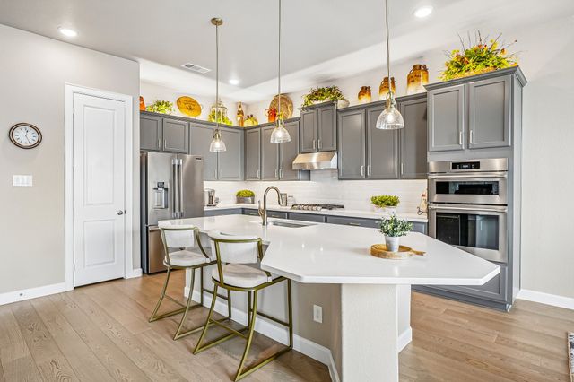 1907 Sicilia Lane, Mclendon Chisholm, TX 75032