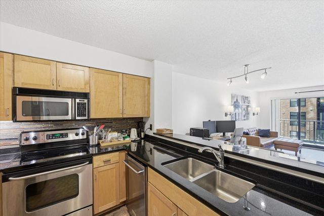 401 1st Street S 203, Minneapolis, MN 55401