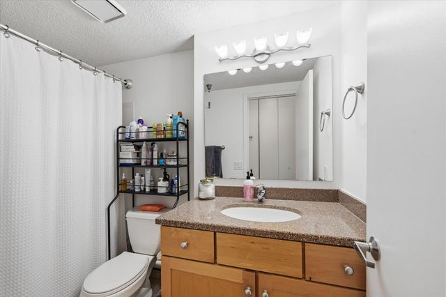 401 1st Street S 203, Minneapolis, MN 55401