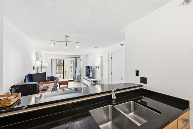 401 1st Street S 203, Minneapolis, MN 55401