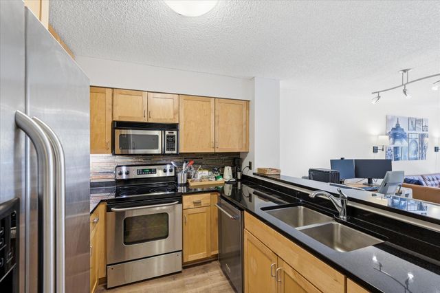 401 1st Street S 203, Minneapolis, MN 55401