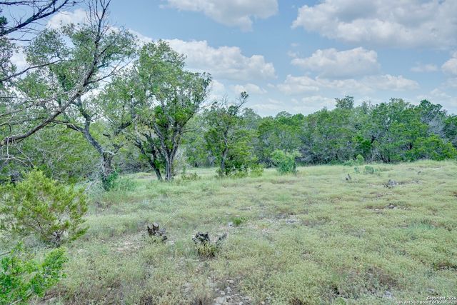 447 Coyote Trail, Spring Branch, TX 78070