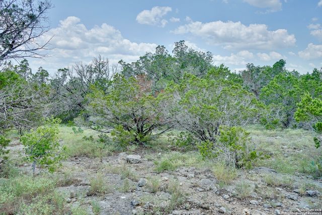 447 Coyote Trail, Spring Branch, TX 78070