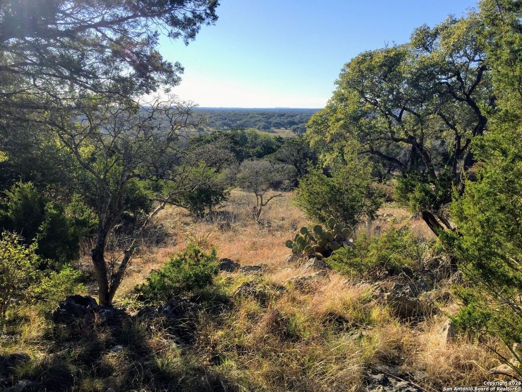447 Coyote Trail, Spring Branch, TX 78070