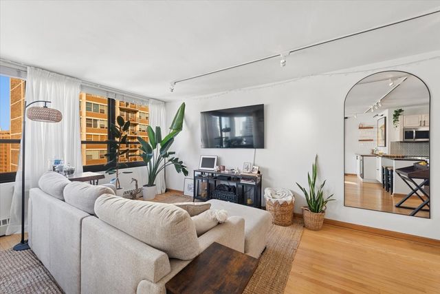 33 E Cedar Street 16E, Chicago, IL 60611