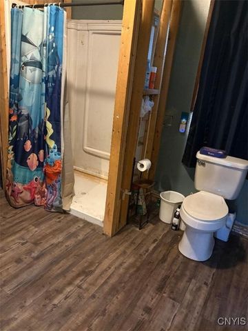 4399 Furnace Hill Road, Lincoln, NY 13032