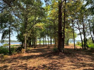 3196 Shadow Pine Drive, Larue, TX 75770