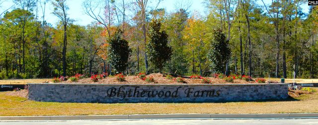 3069 Hanging Valley Road, Blythewood, SC 29016