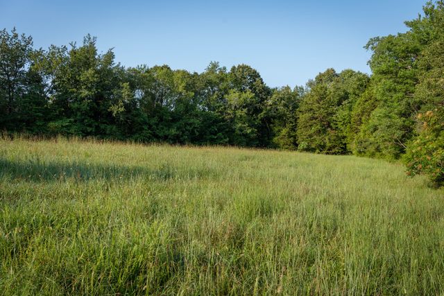 1125 Dawson Road, White Bluff, TN 37187