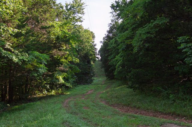 1125 Dawson Road, White Bluff, TN 37187