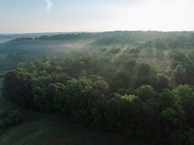 1125 Dawson Road, White Bluff, TN 37187