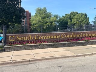 3021 S Michigan Avenue 311, Chicago, IL 60616