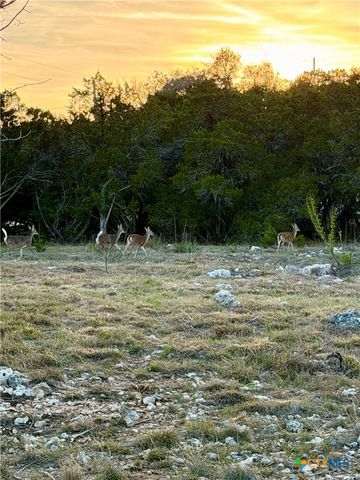 869 Flaman Road, Canyon Lake, TX 78133