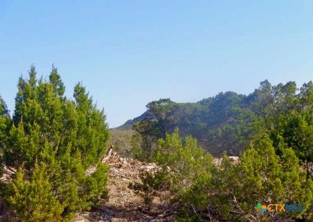 869 Flaman Road, Canyon Lake, TX 78133