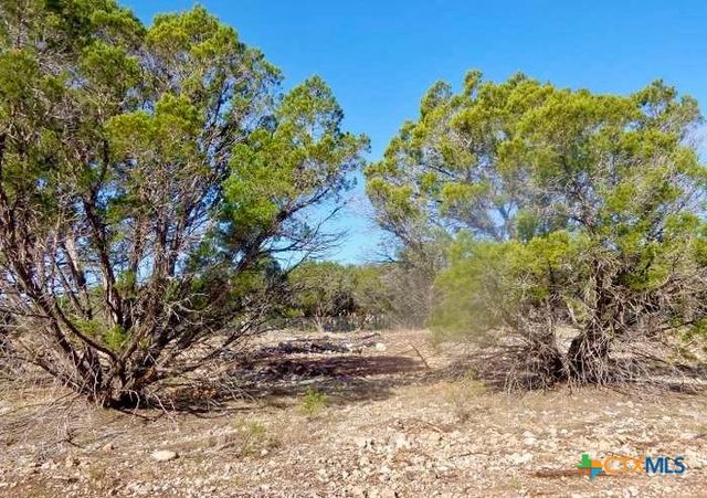 869 Flaman Road, Canyon Lake, TX 78133