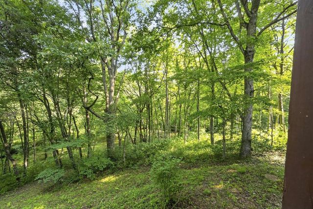 245 Sunrise Valley Road, Blue Ridge, GA 30513