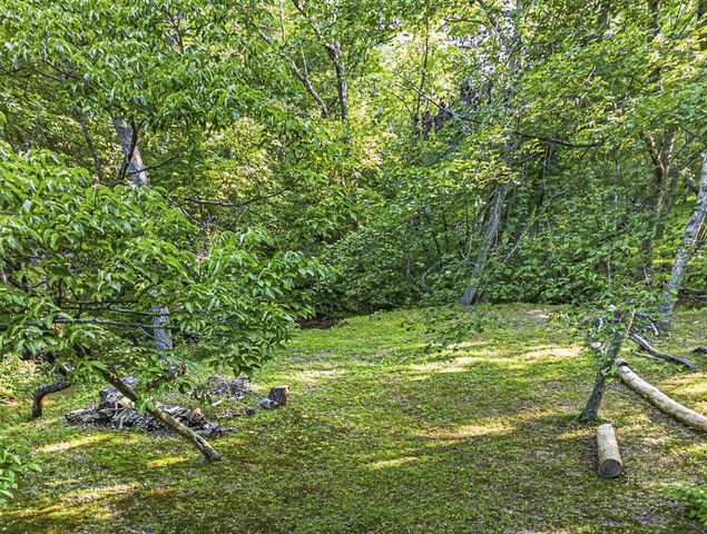 245 Sunrise Valley Road, Blue Ridge, GA 30513