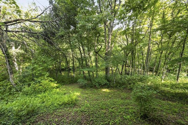 245 Sunrise Valley Road, Blue Ridge, GA 30513