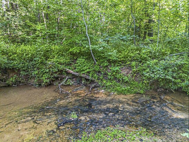 245 Sunrise Valley Road, Blue Ridge, GA 30513