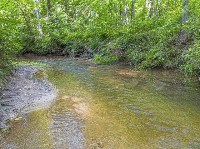245 Sunrise Valley Road, Blue Ridge, GA 30513