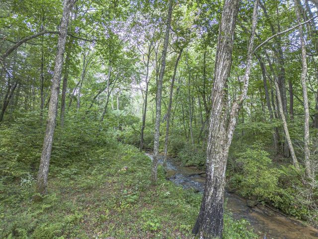 245 Sunrise Valley Road, Blue Ridge, GA 30513