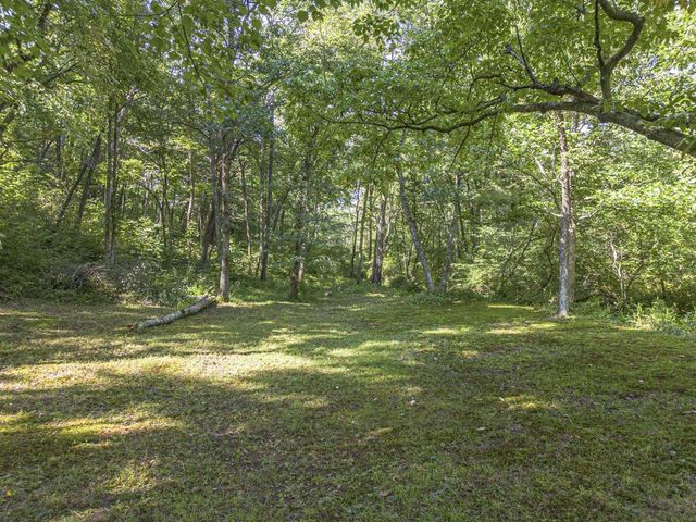 245 Sunrise Valley Road, Blue Ridge, GA 30513
