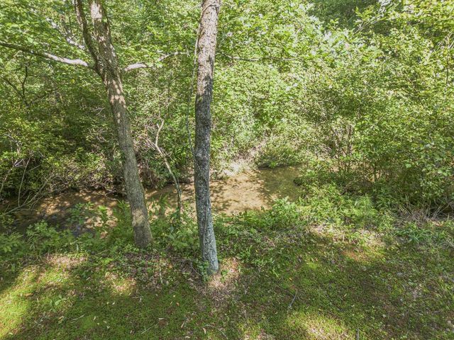 245 Sunrise Valley Road, Blue Ridge, GA 30513