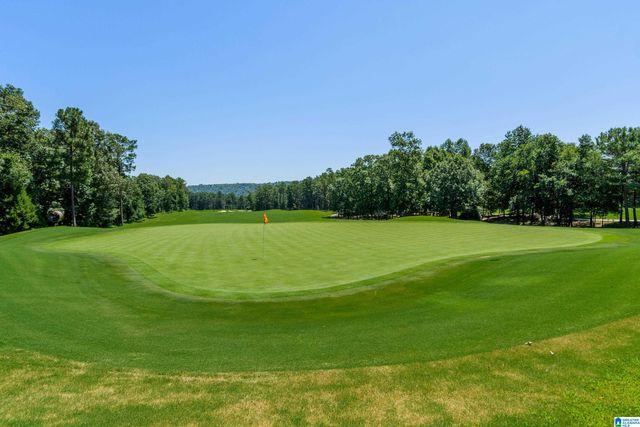 1578 JAMES HILL COVE, Hoover, AL 35226
